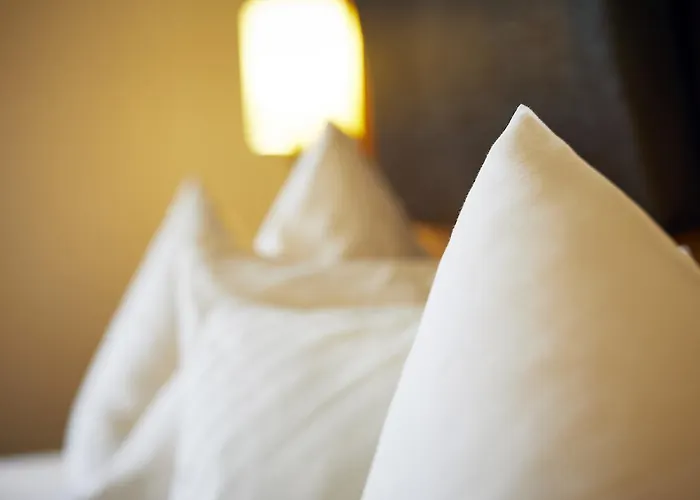 فندق Engemann Kurve 4*